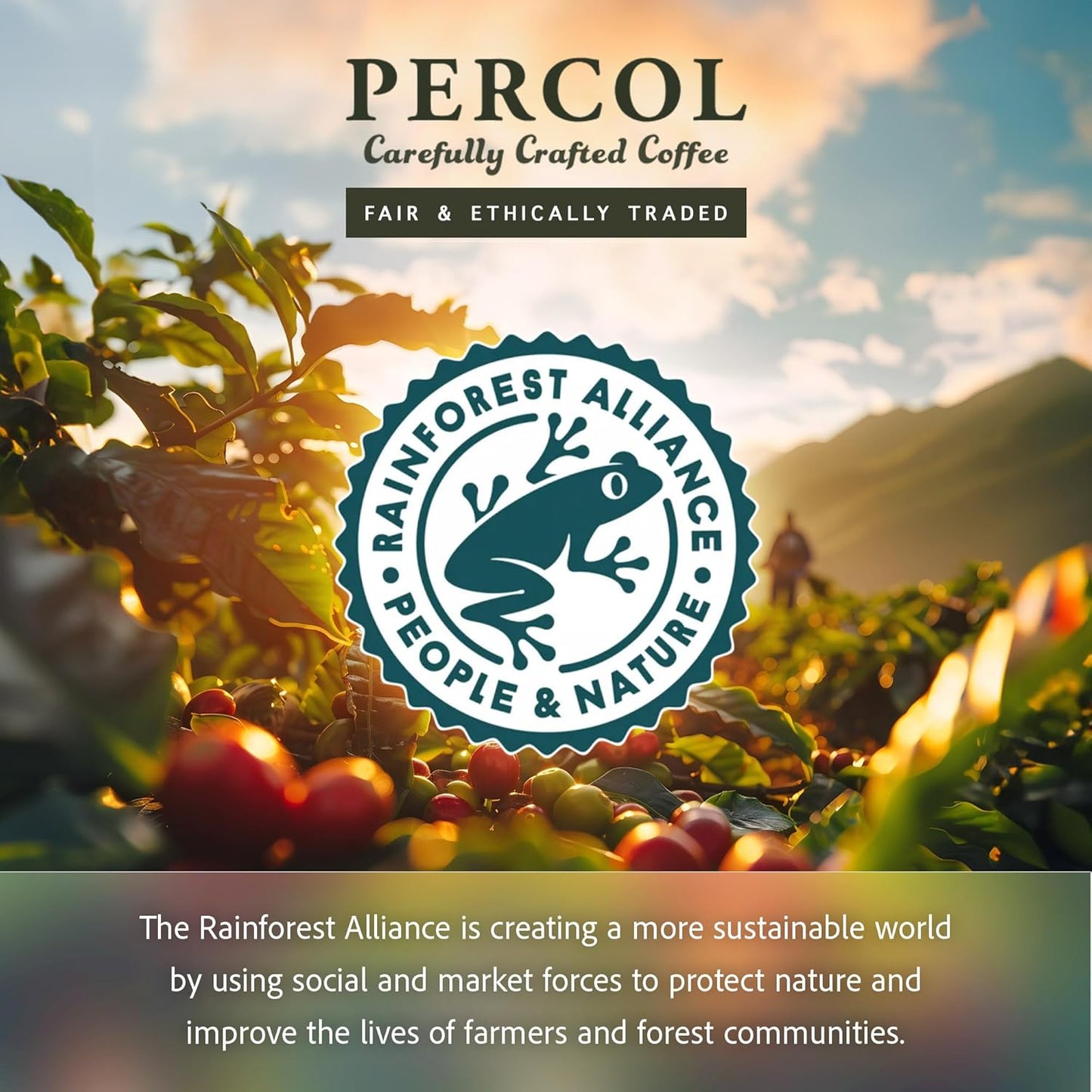 Percol Colombian Instant Coffee, 100g