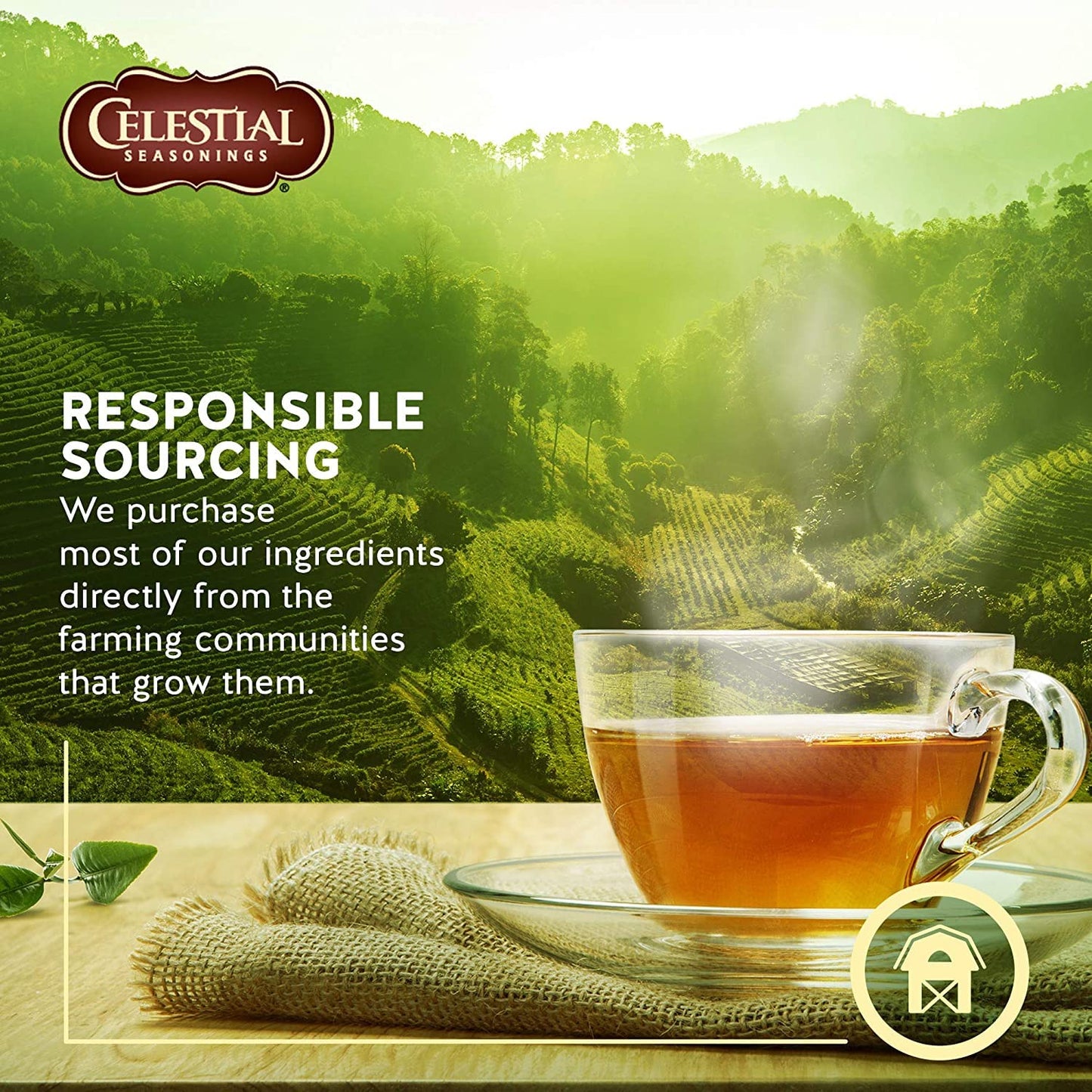 Celestial Seasonings Sleepytime 1x20 Tea Bags