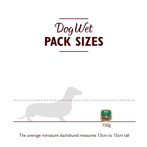 Lily's Kitchen Lamb Tagine - Complete Natural Adult Dog Food Wet (10 x 150g Trays)