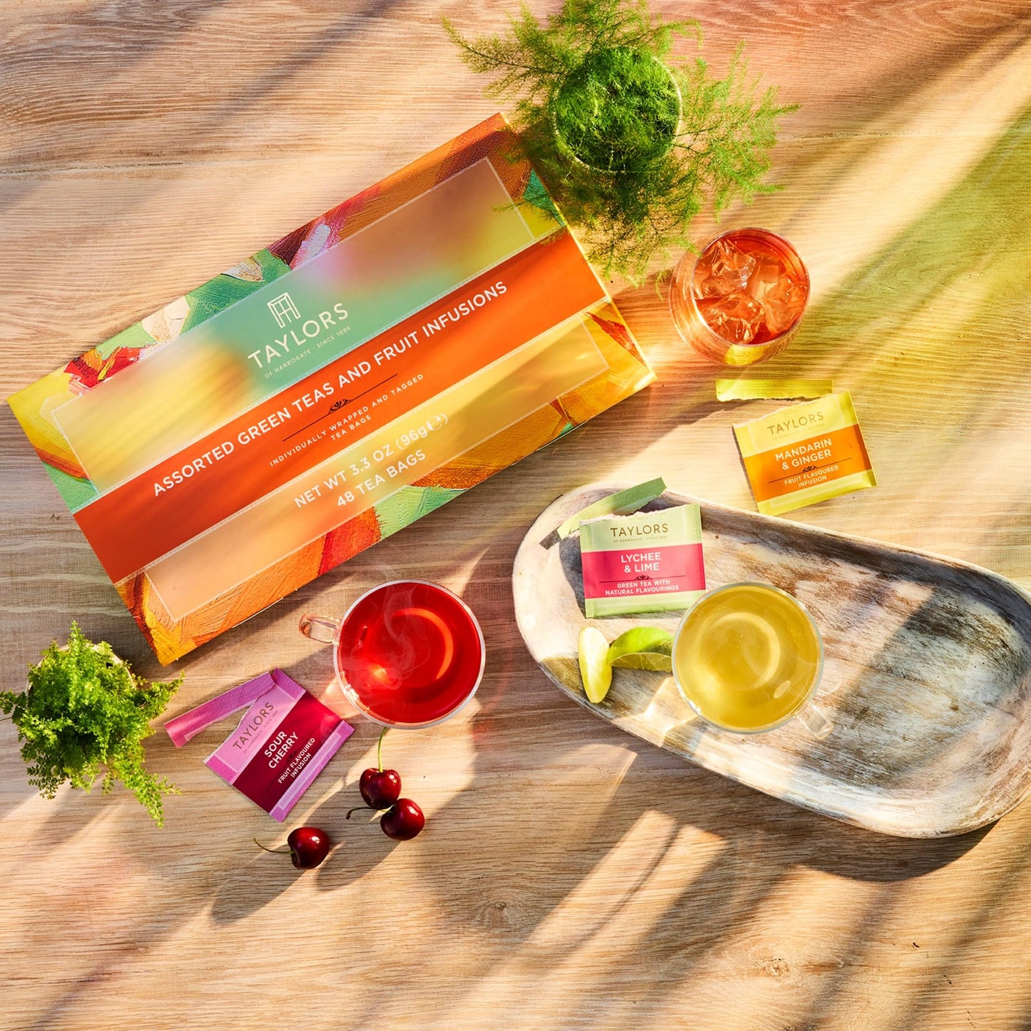 Taylors of Harrogate Assorted Green Teas and Fruit Infusions Selection Gift Box, 8 Flavours (Total of 48 Tea Bags)