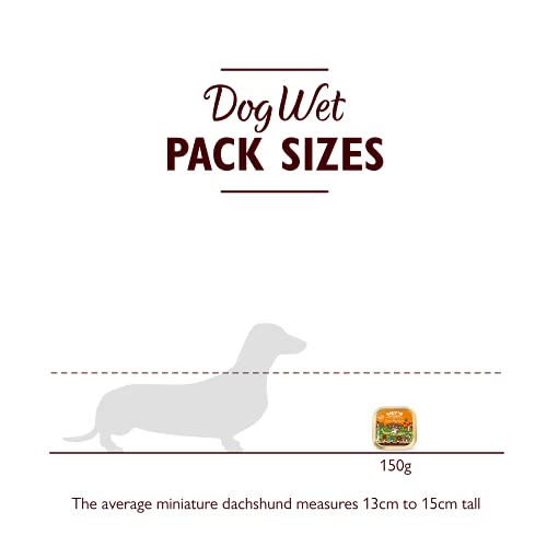 Lily's Kitchen Lean Machine Turkey & Squash - Complete Natural Adult Dog Food Wet (10 x 150g Trays)