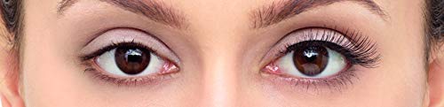 Eylure Strip Lashes, Lengthening Number 105