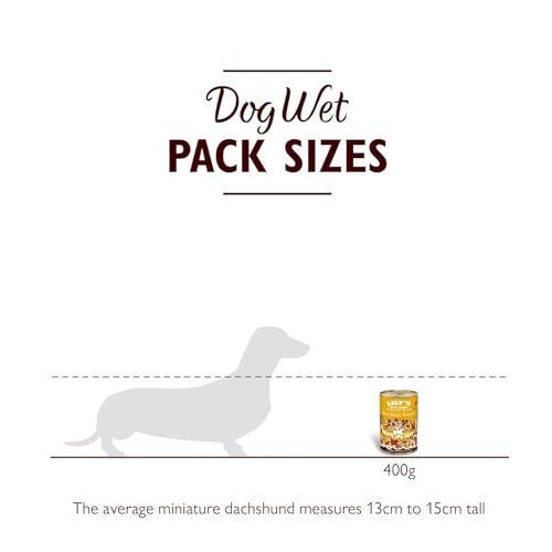 Lily's Kitchen Great British Breakfast For Dogs (6 x 400 g)