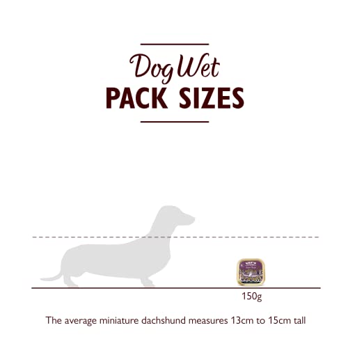 Lily's Kitchen - Complete Natural Adult Dog Food Wet (10 x 150g Trays)