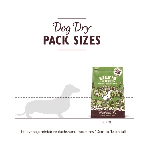 Lily's Kitchen Natural Grain Free Complete Adult Dry Dog Food - Lamb Shepherd's Pie (2.5kg Bag)