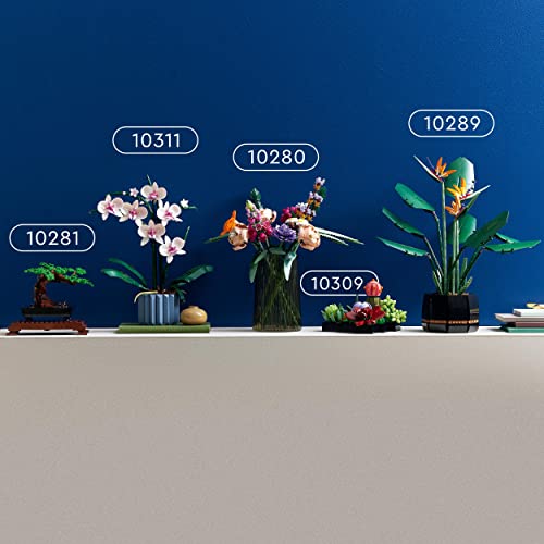 LEGO 10309 Icons Succulents Artificial Plants Set for Adults, Home Décor, Creative Hobby, Valentine's Day Treat, Gift Idea for Her & Him, Botanical Collection (Build 9 Small Plants), Flower Kit