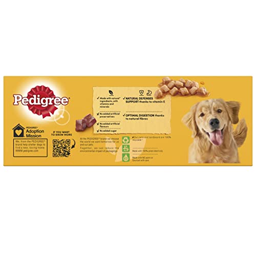 Pedigree Adult - Wet Dog Food - for Adult Dogs - Can Mixed Selection in Gravy - 12 x 400 g