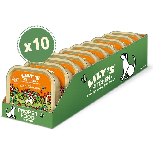 Lily's Kitchen Lean Machine Turkey & Squash - Complete Natural Adult Dog Food Wet (10 x 150g Trays)