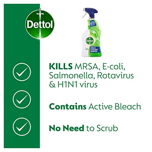 Dettol Anti-Bacterial Mould and Mildew Remover, 750 ml, Pack of 3 (Packaging may vary)