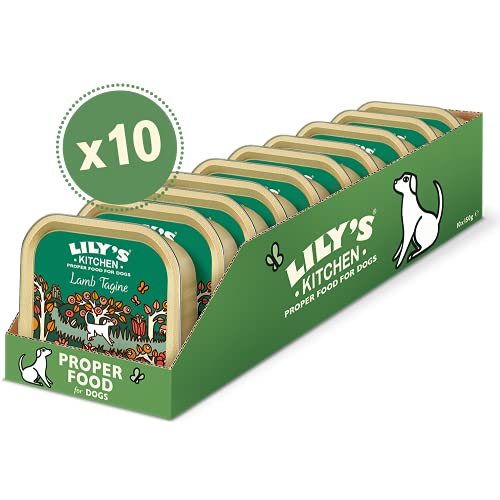 Lily's Kitchen Lamb Tagine - Complete Natural Adult Dog Food Wet (10 x 150g Trays)