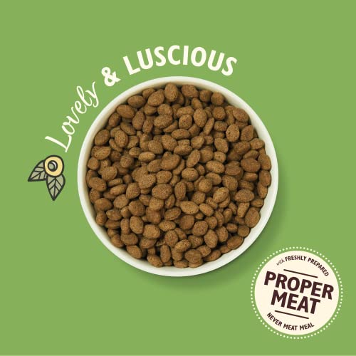 Lily's Kitchen Natural Grain Free Complete Adult Dry Dog Food - Lamb Shepherd's Pie (2.5kg Bag)