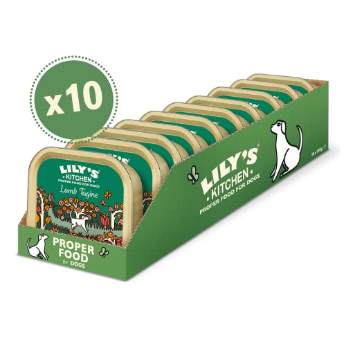 Lily's Kitchen Lamb Tagine - Complete Natural Adult Dog Food Wet (10 x 150g Trays)