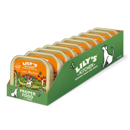 Lily's Kitchen Lean Machine Turkey & Squash - Complete Natural Adult Dog Food Wet (10 x 150g Trays)