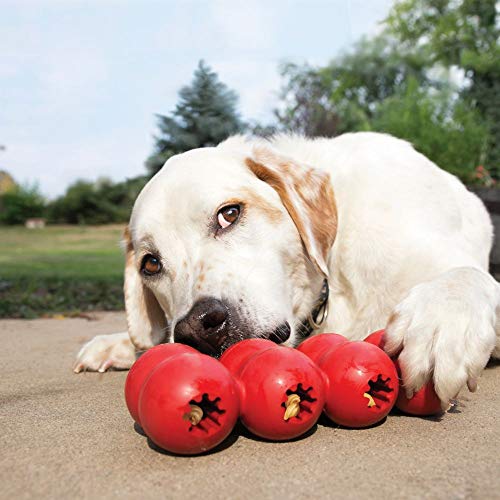 KONG Goodie Ribbon for medium dogs