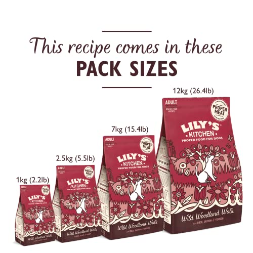 Lily's Kitchen Made with Natural Ingredients Adult Dry Dog Food Duck Salmon & Venison Grain-Free Recipe 12kg Bag