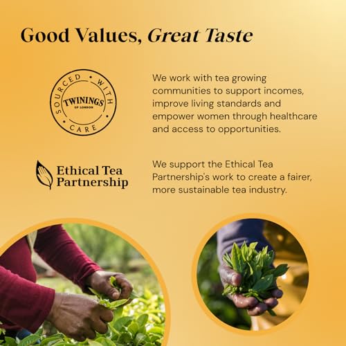 Twinings English Breakfast Tea | Golden, Well Rounded & Full Bodied Black Tea | Multipack Bulk Buy, 320 (4 x 80) Biodegradable Tea Bags