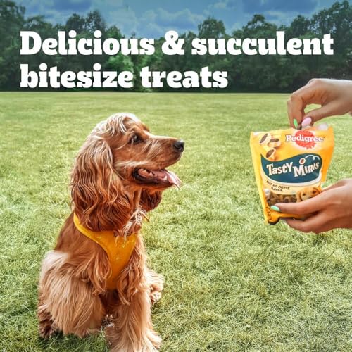 Pedigree Tasty Bites - Dog Treats Chewy Slices with Beef 155 g (Pack of 8)