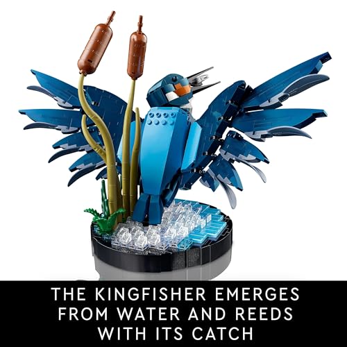 LEGO Icons Kingfisher Bird Set, Model Building Kit for Adults to Build with Water Setting Display Stand, Great Home and Office Desk Décor, Valentine's Day Gifts for Women, Men, Her or Him, 10331