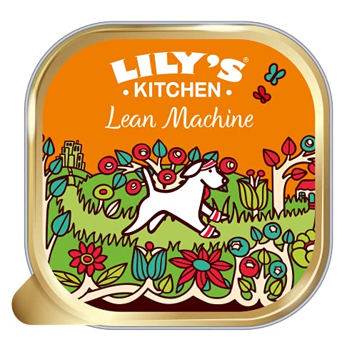 Lily's Kitchen Lean Machine Turkey & Squash - Complete Natural Adult Dog Food Wet (10 x 150g Trays)