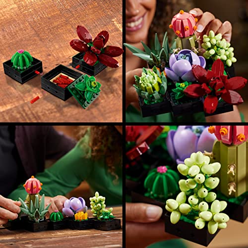 LEGO 10309 Icons Succulents Artificial Plants Set for Adults, Home Décor, Creative Hobby, Valentine's Day Treat, Gift Idea for Her & Him, Botanical Collection (Build 9 Small Plants), Flower Kit