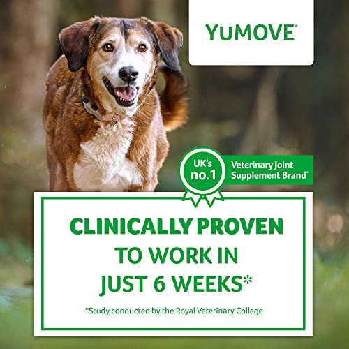 YuMOVE Daily Bites For Senior Dogs | High Strength Hip and Joint Supplement Designed for Older, Stiff Dogs, with Glucosamine, Chondroitin, Green Lipped Mussel | Aged 9+ | 150 Chews