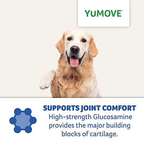 YuMOVE Daily Bites For Senior Dogs | High Strength Hip and Joint Supplement Designed for Older, Stiff Dogs, with Glucosamine, Chondroitin, Green Lipped Mussel | Aged 9+ | 150 Chews