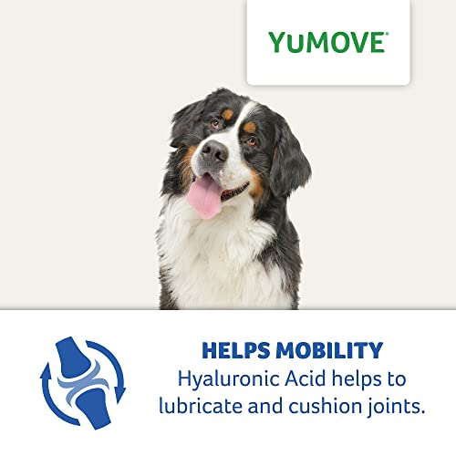 YuMOVE Daily Bites For Senior Dogs | High Strength Hip and Joint Supplement Designed for Older, Stiff Dogs, with Glucosamine, Chondroitin, Green Lipped Mussel | Aged 9+ | 150 Chews