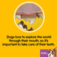 Pedigree DentaStix 112 Sticks Functional Snacks, Daily Dental Chews for Small Dogs (5 -10 kg), Megapack