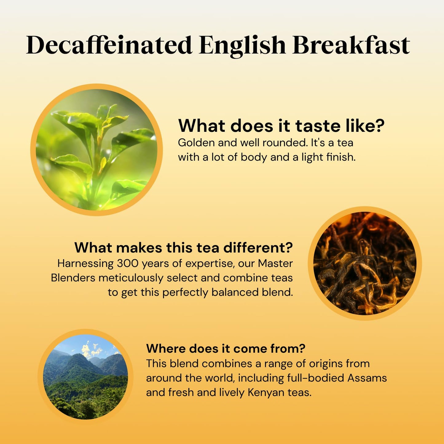 Twinings English Breakfast Decaf Tea | Golden, Well Rounded & Full Bodied Decaffeinated Black Tea | 40 Biodegradable Tea Bags